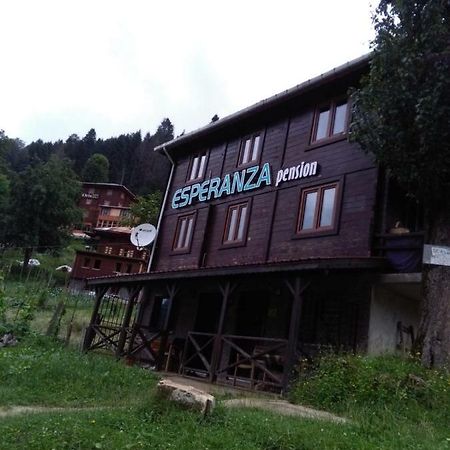 Esperanza Apart & Pension Guest House อายเดอร์ ยายเลอเซอ ภายนอก รูปภาพ