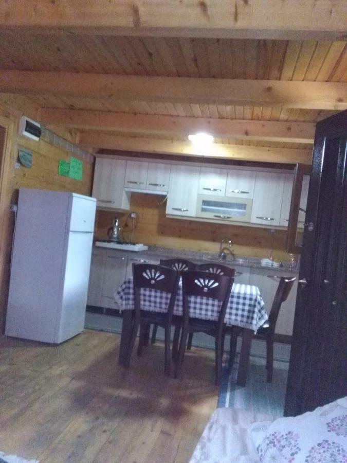 Esperanza Apart & Pension Guest House อายเดอร์ ยายเลอเซอ ภายนอก รูปภาพ